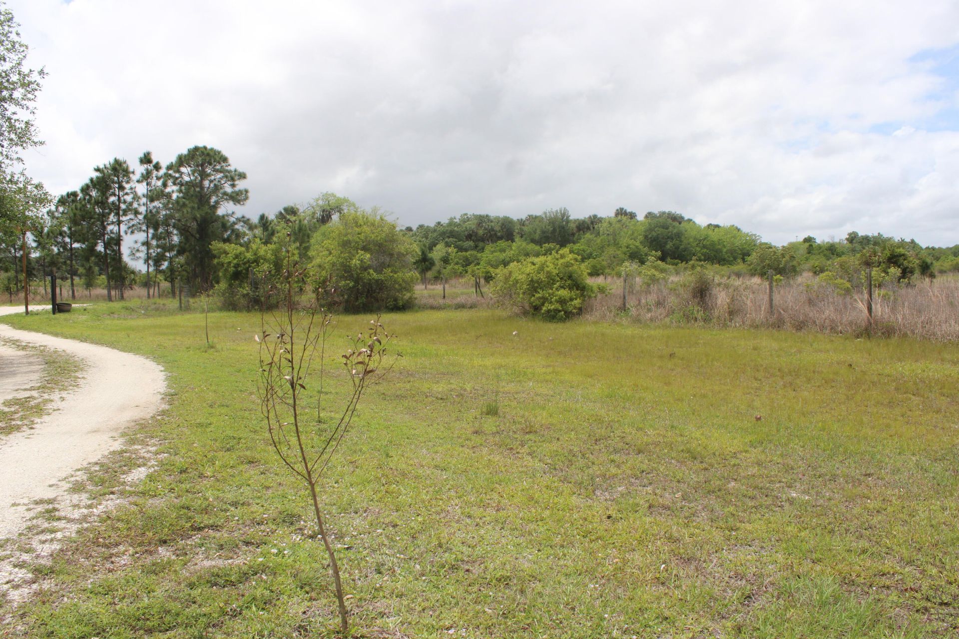 15367 NW 296th Street, Okeechobee, FL 34972 Photo