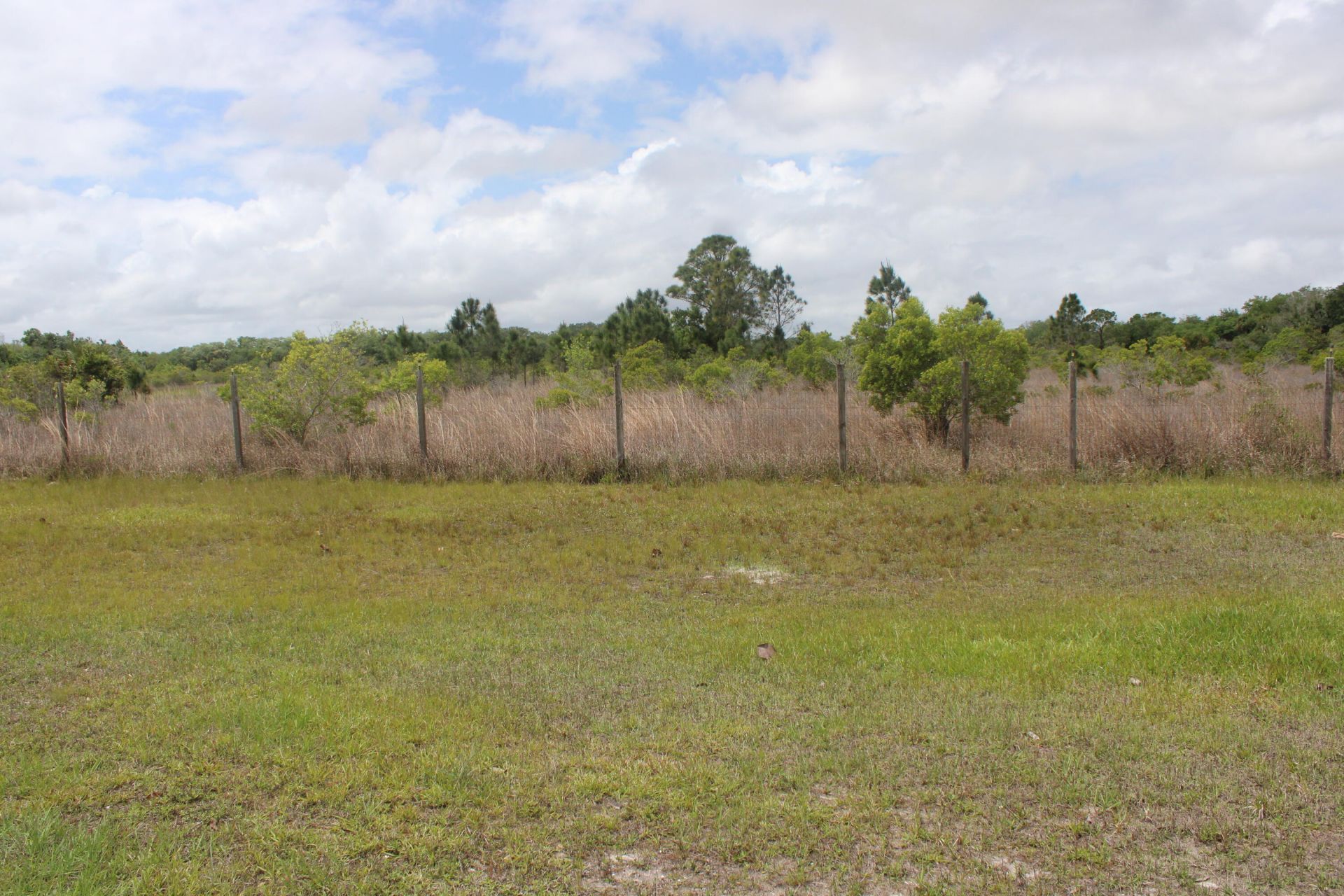 15367 NW 296th Street, Okeechobee, FL 34972 Photo