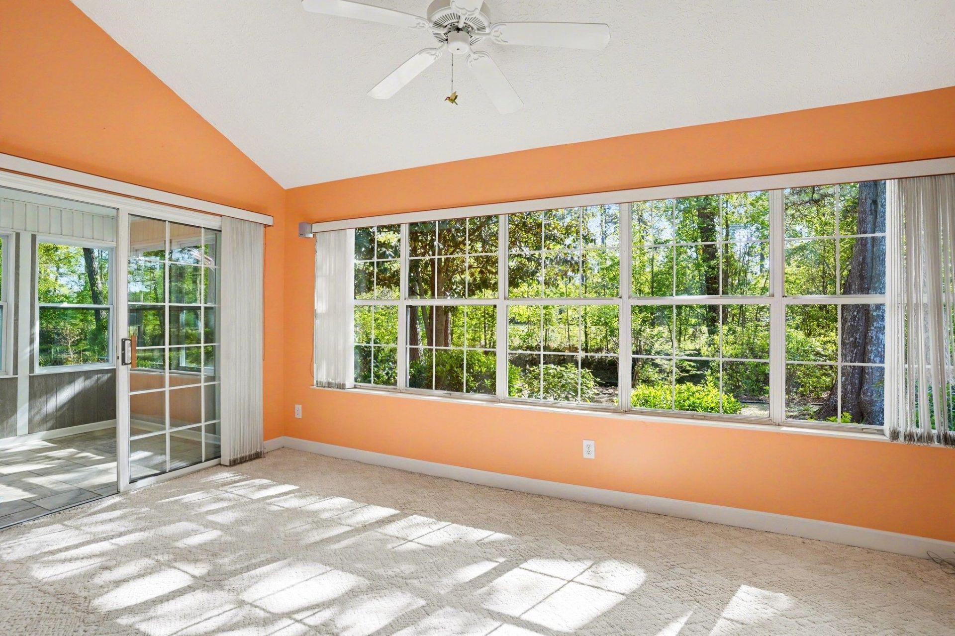 9374 Pinckney Ln. Photo 37