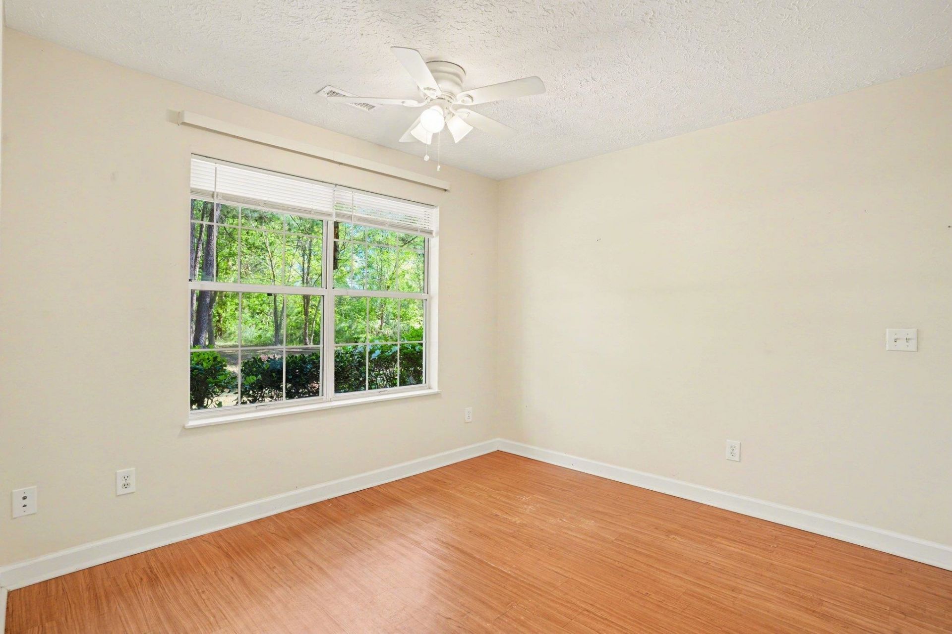 9374 Pinckney Ln. Photo 44