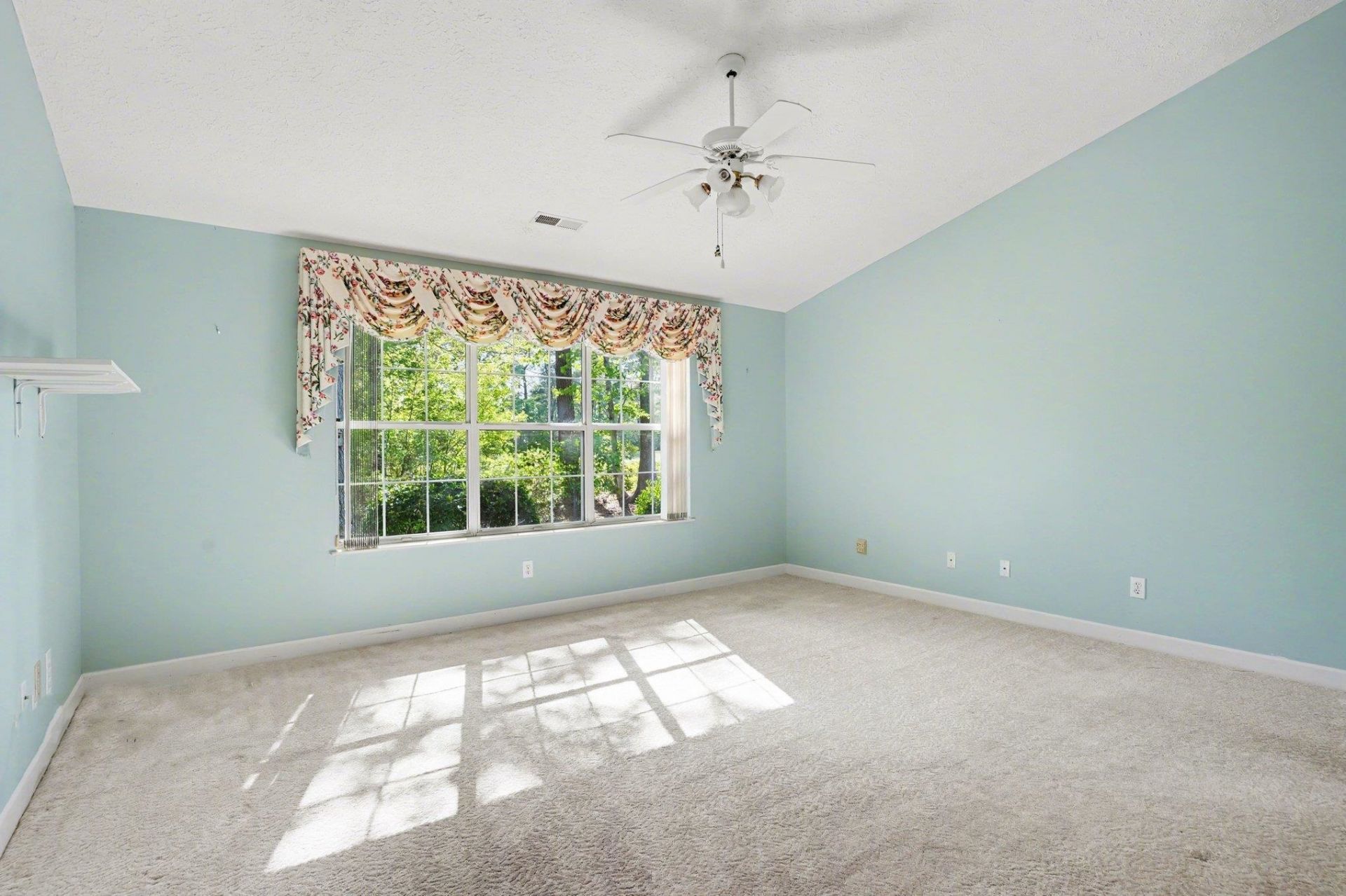 9374 Pinckney Ln. Photo 47