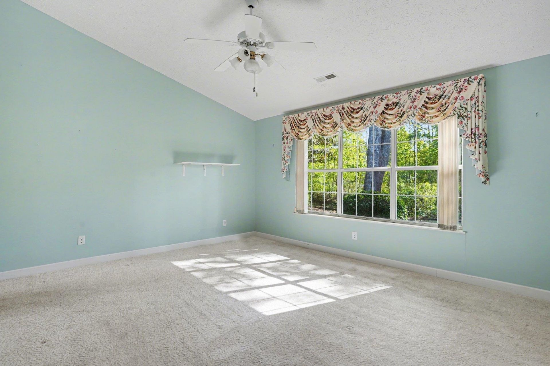 9374 Pinckney Ln. Photo 48