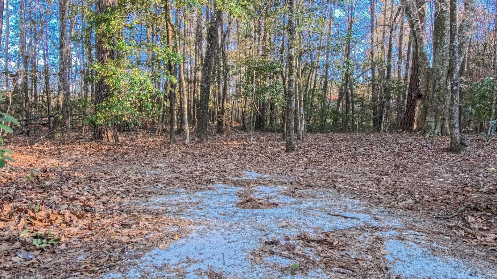 1644 Ranger Drive Photo 36