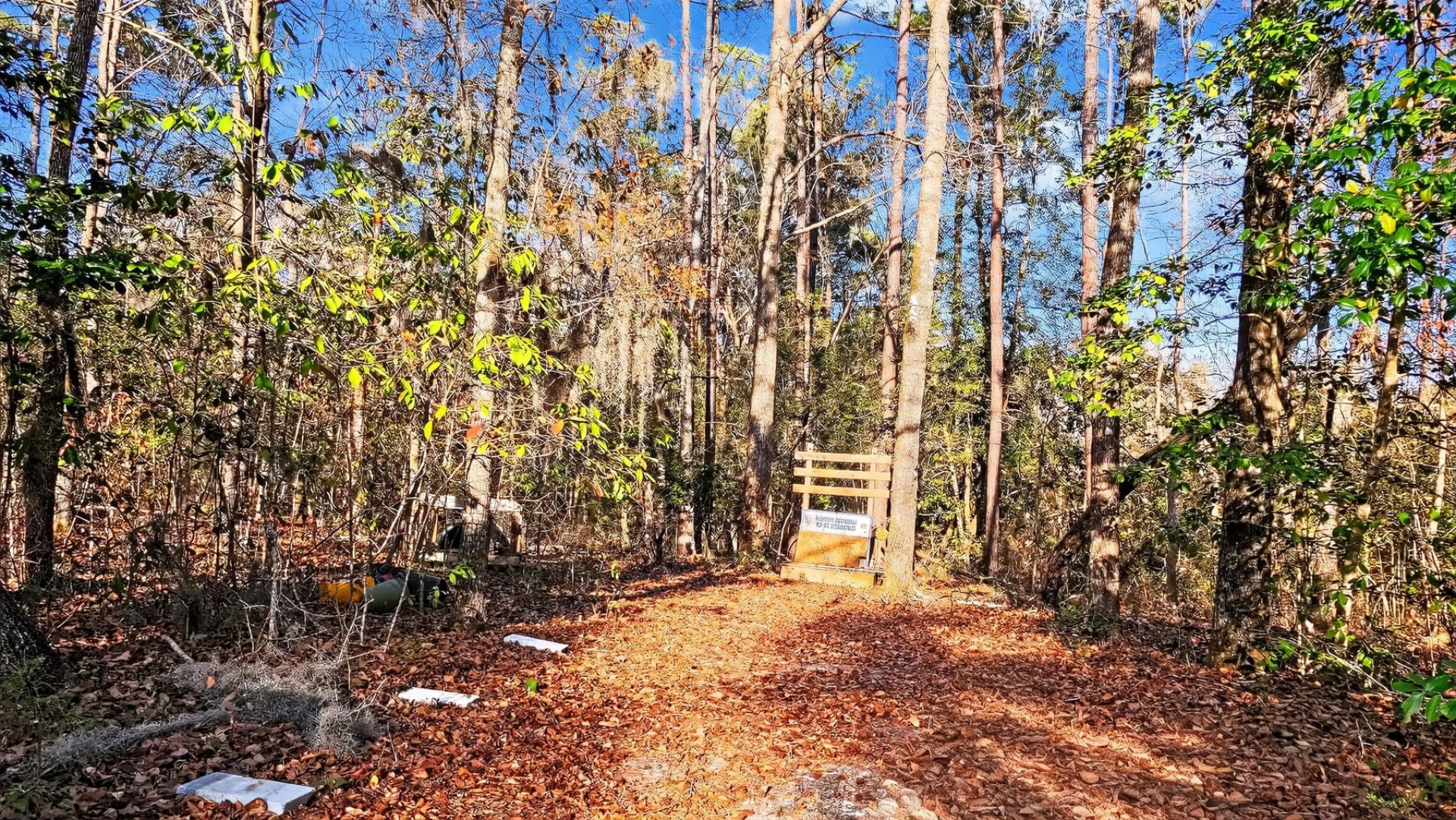 1644 Ranger Drive Photo 38