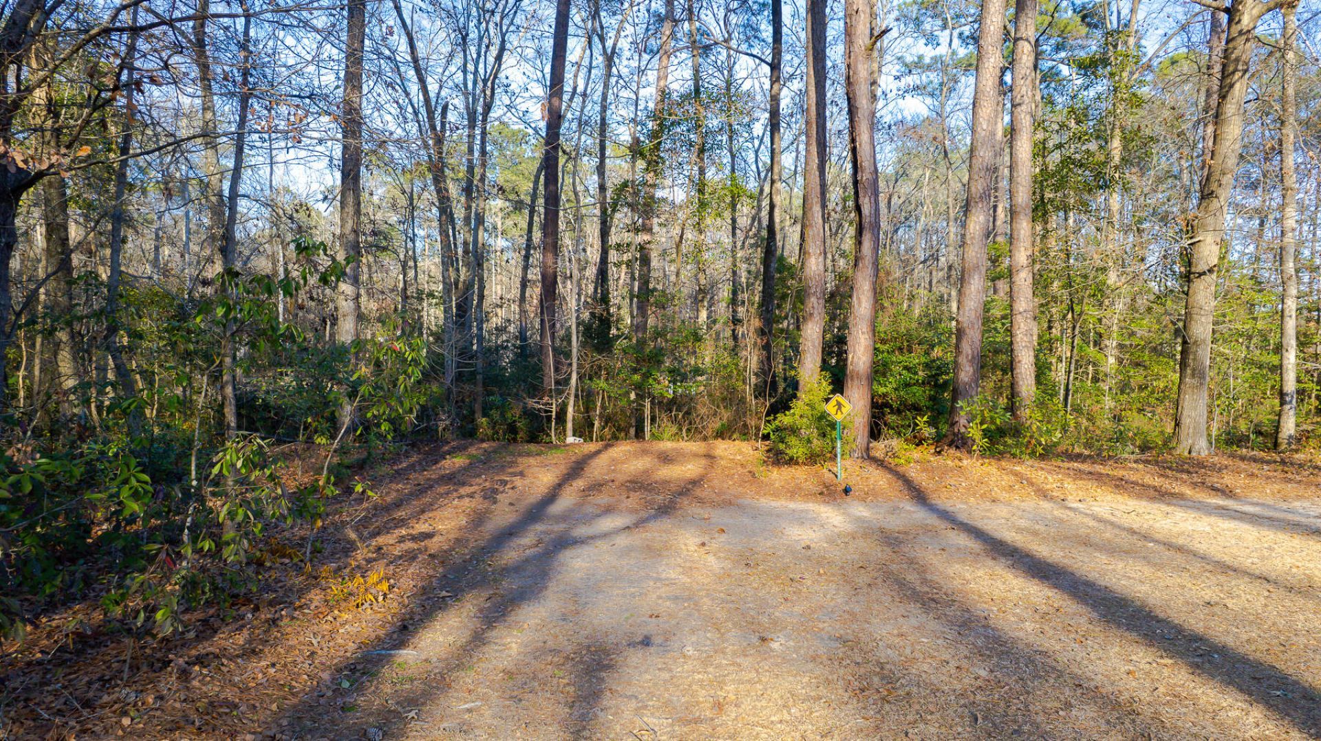 1644 Ranger Drive Photo 39