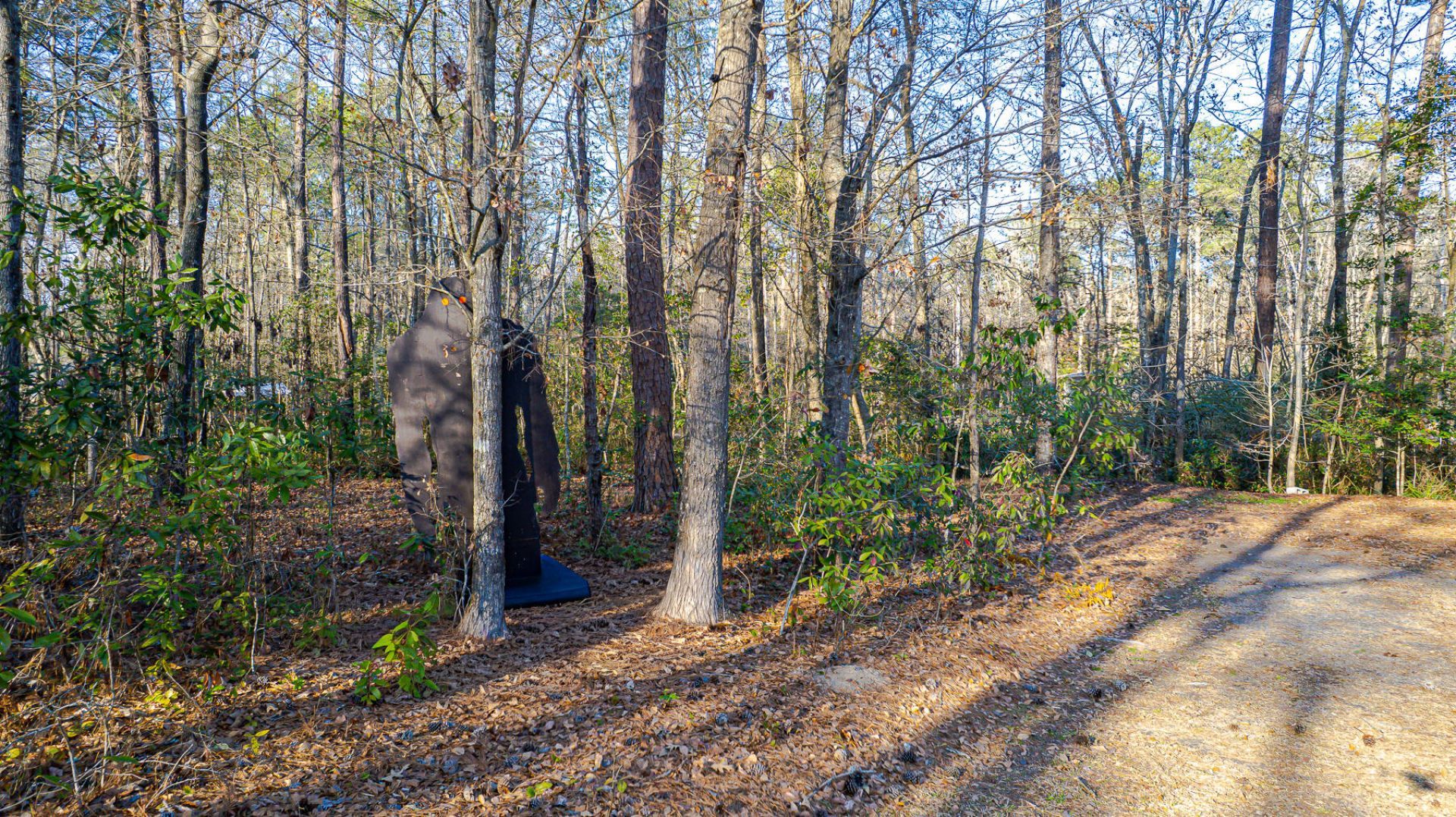 1644 Ranger Drive Photo 40