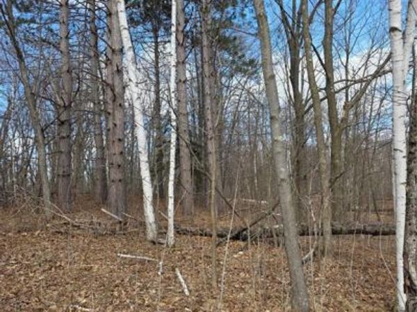 00 Highway W, Weyerhaeuser, WI 54895