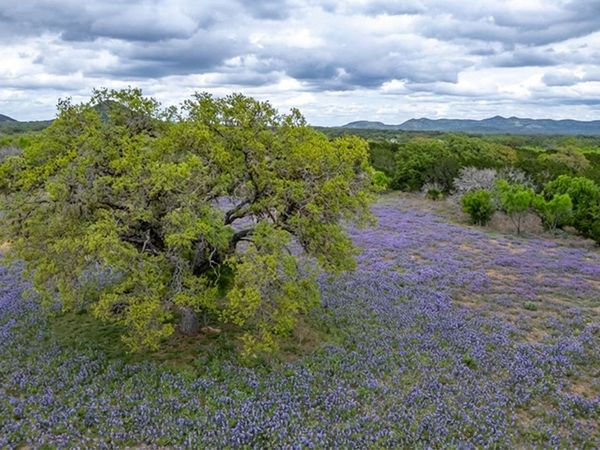 2229 County Road 390, Camp Wood, TX 78833