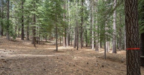 12442 Saint Bernard Drive, Truckee, CA 96161 Photo