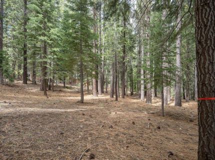 12442 Saint Bernard Drive, Truckee, CA 96161 Photo