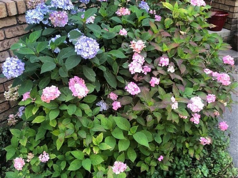 3001 Ben Fulton Avenue NW, North Lawrence, OH 44666 Photo 35