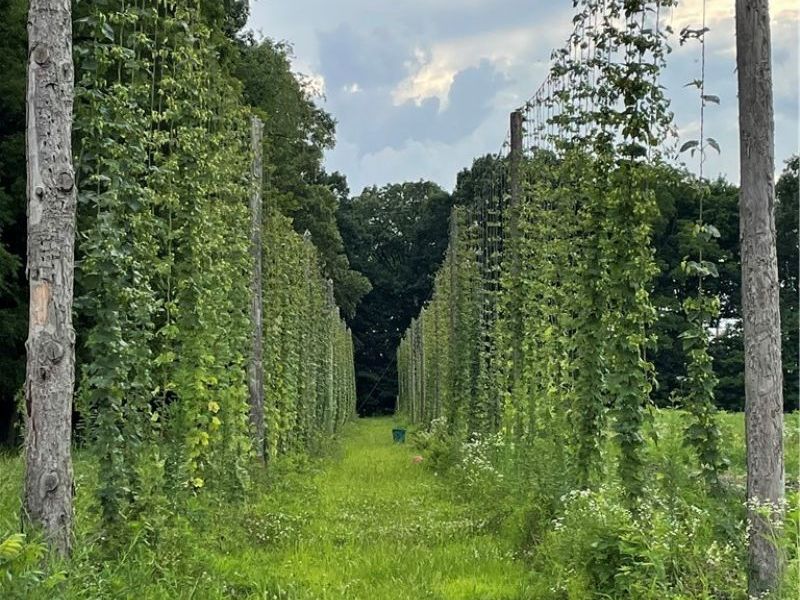 3001 Ben Fulton Avenue NW, North Lawrence, OH 44666 Photo 37