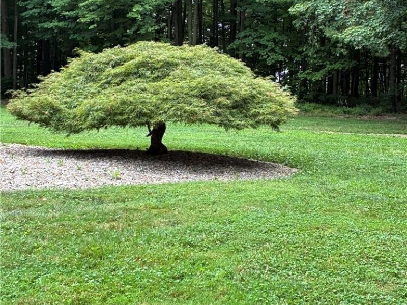 3001 Ben Fulton Avenue NW, North Lawrence, OH 44666 Photo 41