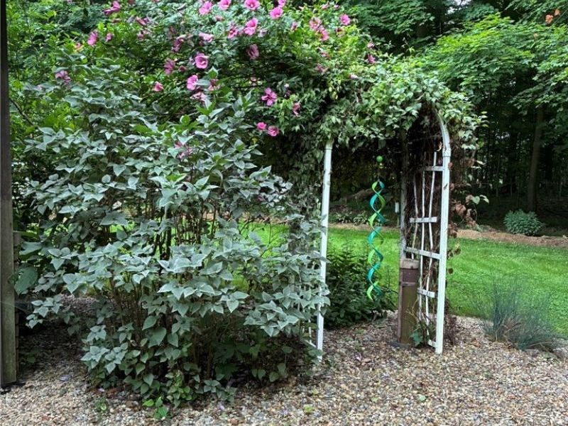 3001 Ben Fulton Avenue NW, North Lawrence, OH 44666 Photo 49