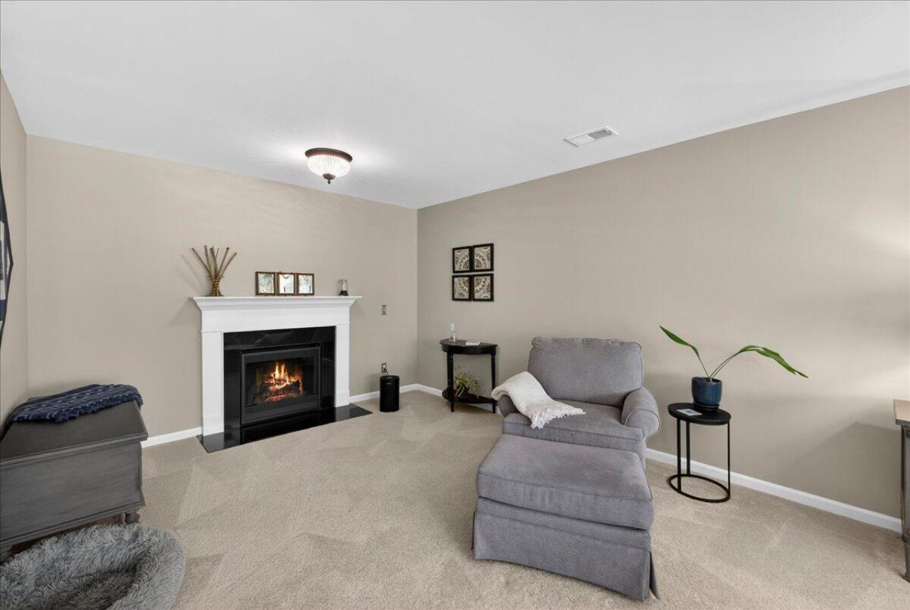 9955 Honeylocust Lane Photo 45