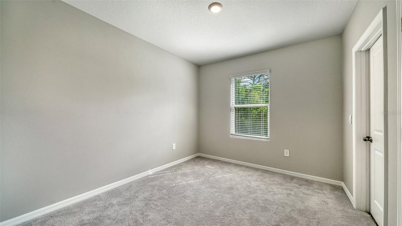 6560 Calypso Coral Lane, Sarasota, FL 34240 Photo