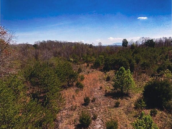 317 Mountain View Drive , Vonore, TN 37885