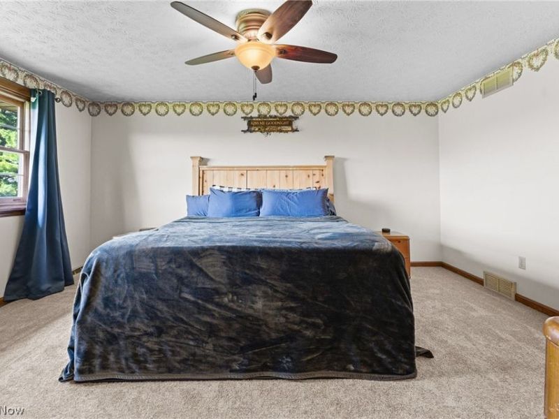 14840 Georgetown Street NE, Minerva, OH 44657 Photo 34