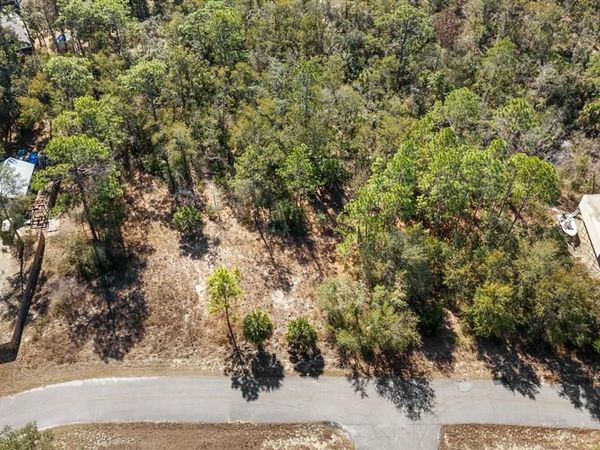 00 Kings Creek Cir, Steinhatchee, FL 32359