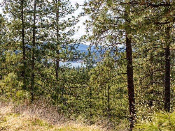 0 N Mathias Ln, Spokane, WA 99226