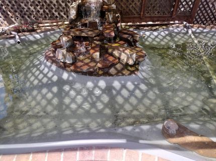 440 Stasal Ave, Jackson, CA 95642 Photo