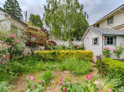 440 Stasal Ave, Jackson, CA 95642 Photo