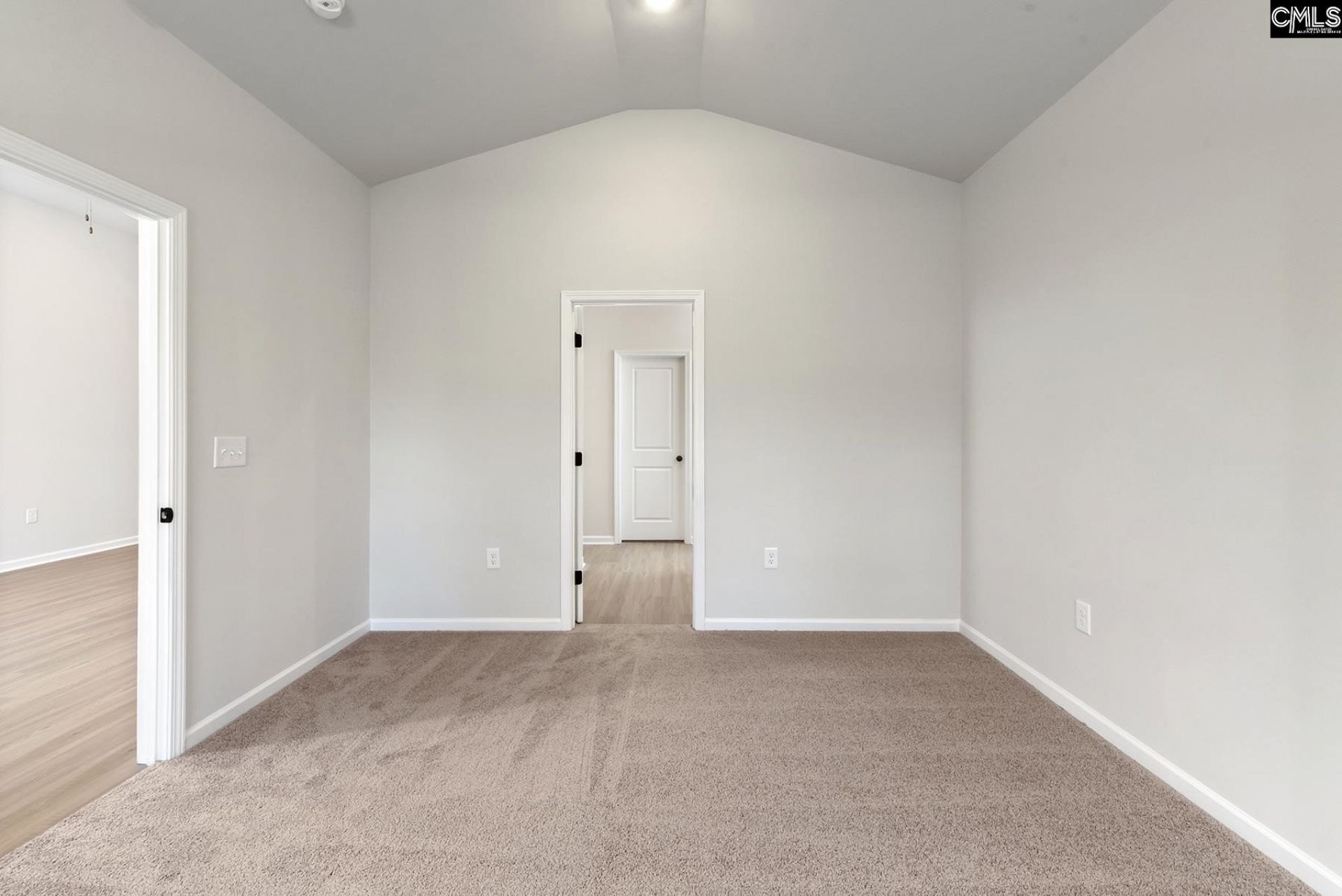 2101 Duck Lettuce Court Photo 10