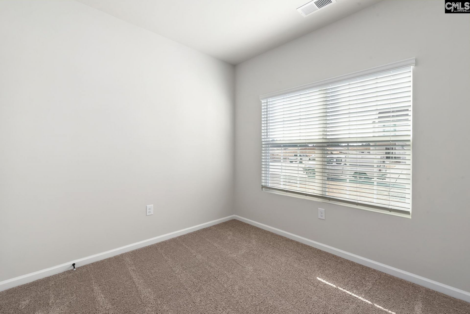 2101 Duck Lettuce Court Photo 14