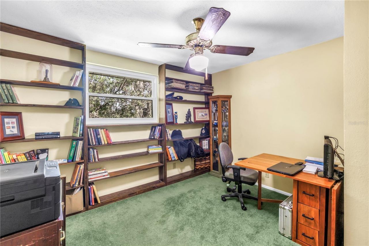 6505 Cedar Street Ne, Saint Petersburg, FL 33702 Photo