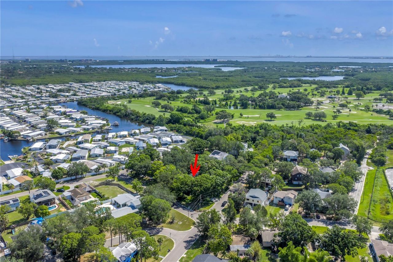 6505 Cedar Street Ne, Saint Petersburg, FL 33702 Photo