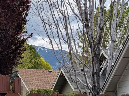 1093 Daphne Court, Minden, NV 89423 Photo