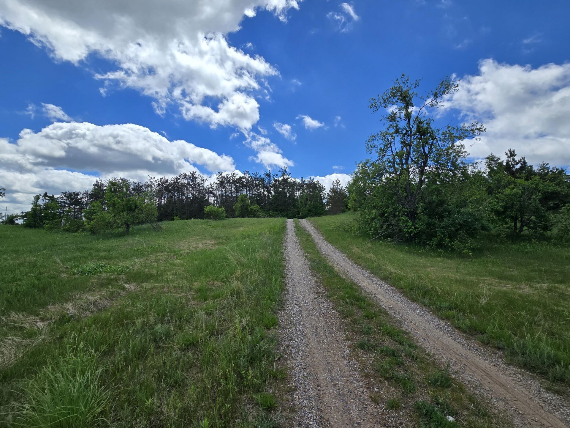 21.60 Ac Finnegan Road, Johannesburg, MI 49751 Main Photo