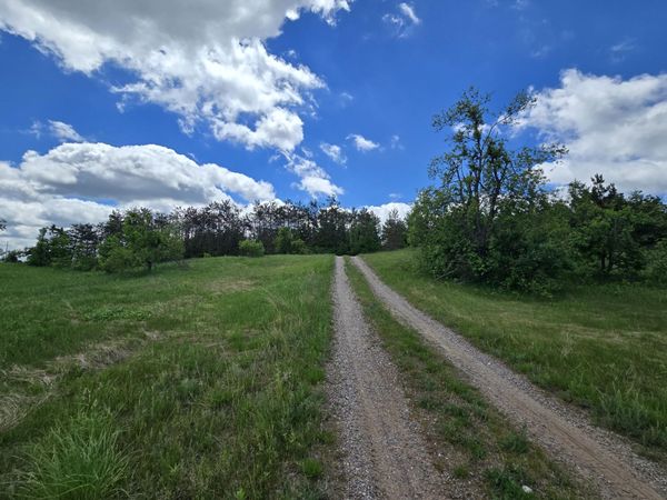 21.60 AC Finnegan Road, Johannesburg, MI 49751