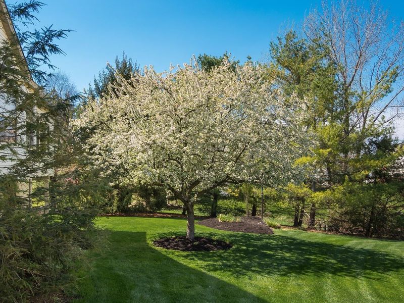 2392 Graybill Court, Lancaster, OH 43130 Photo 53