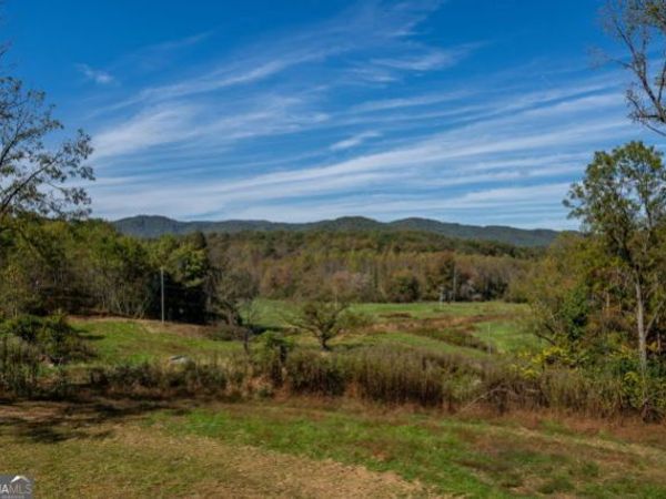 7590 Mobile Road, Blue Ridge, GA 30513