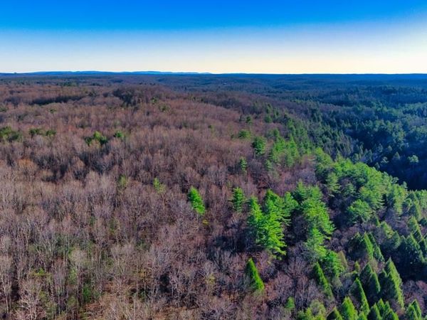 Tract 7 Ervin Brown Road, Sunbright, TN 37872