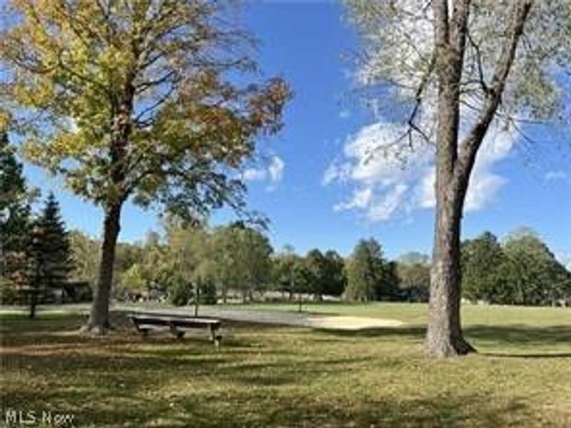 8253 Summit Drive, Chagrin Falls, OH 44023 Photo 43