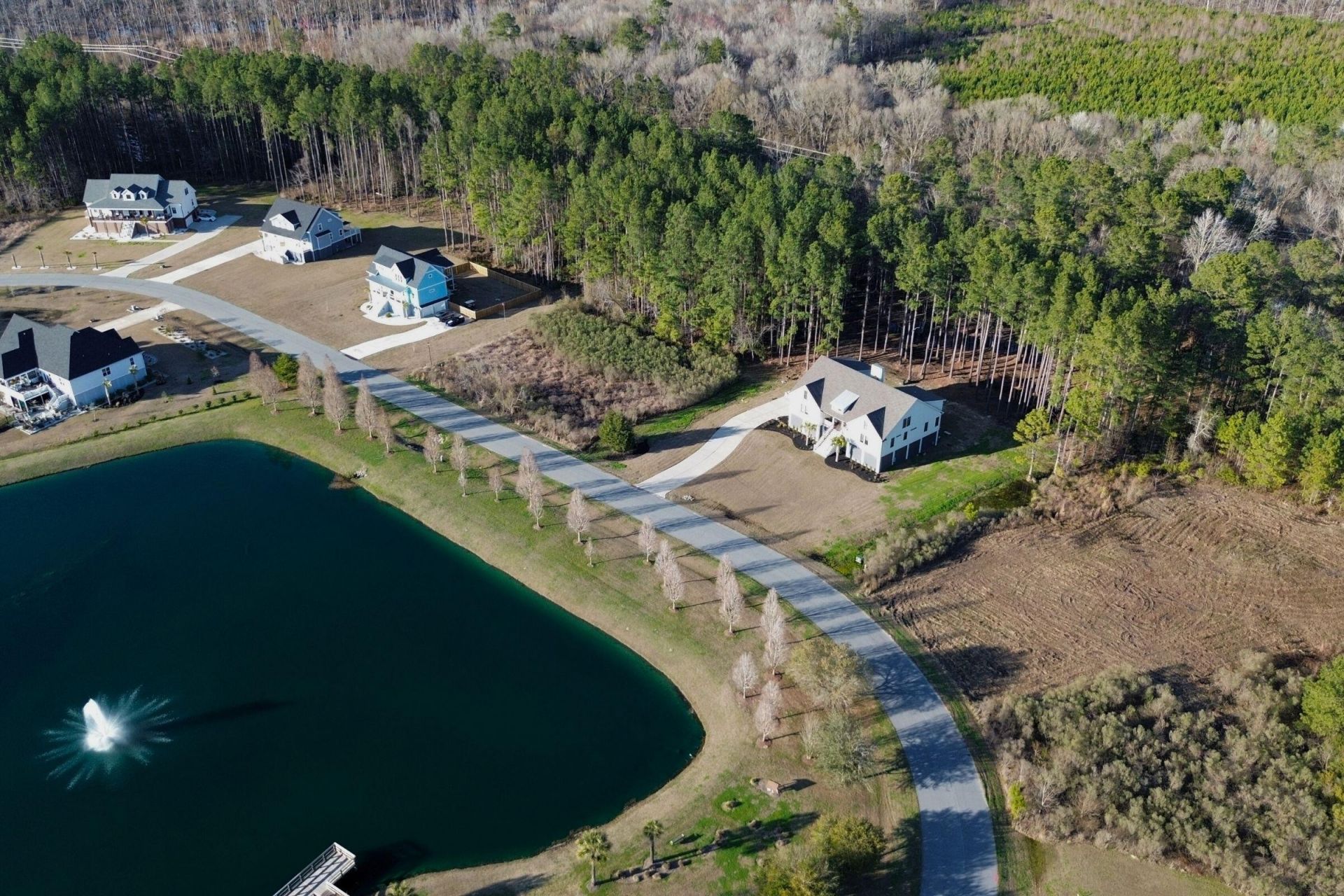 1321 Wood Sorrel Drive Photo 19