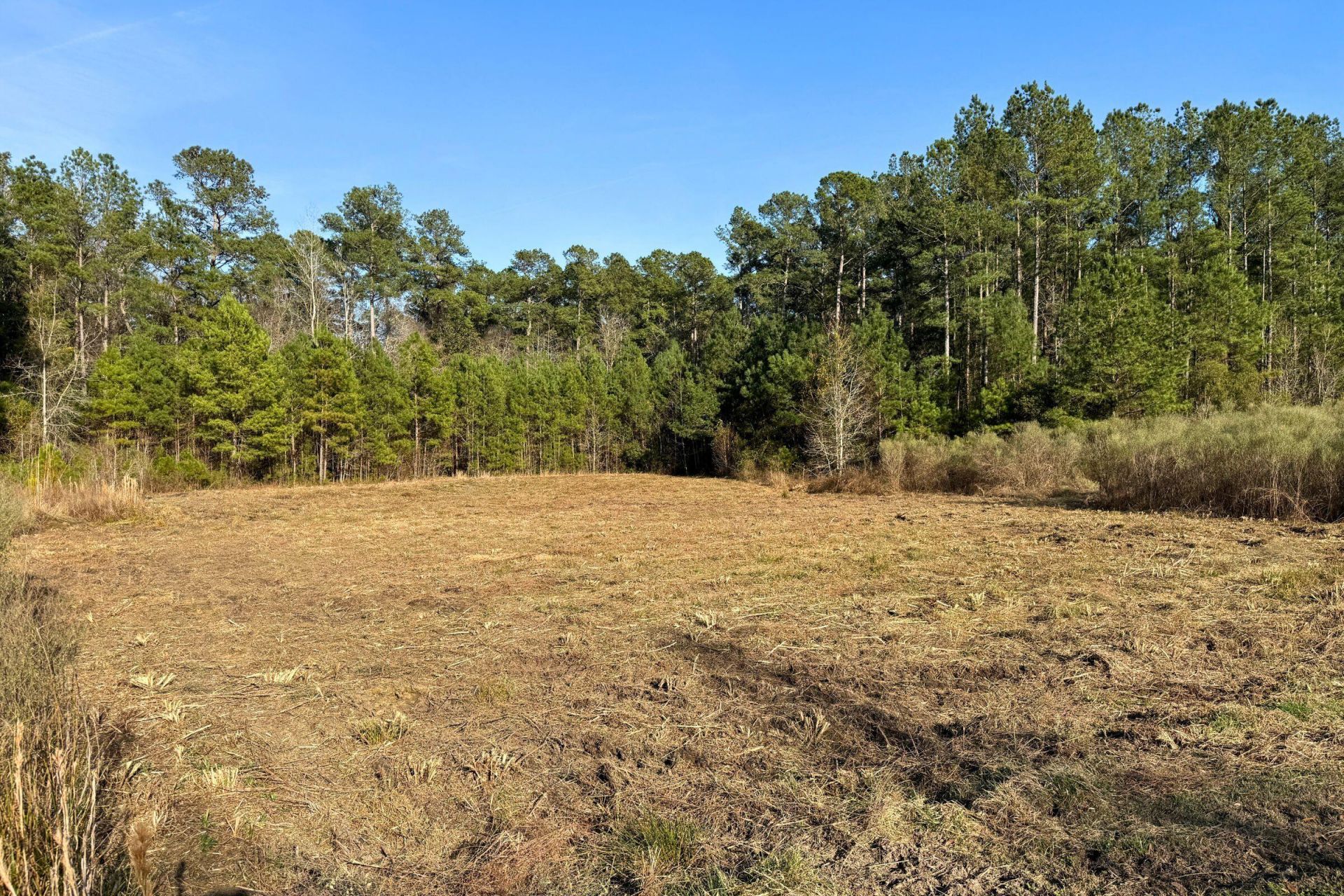 1321 Wood Sorrel Drive Photo 24