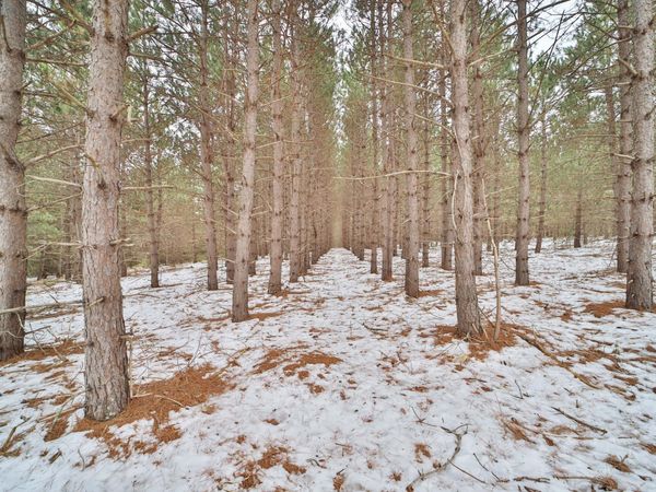 TBD Sleepy Hollow Road , Brainerd, MN 56449