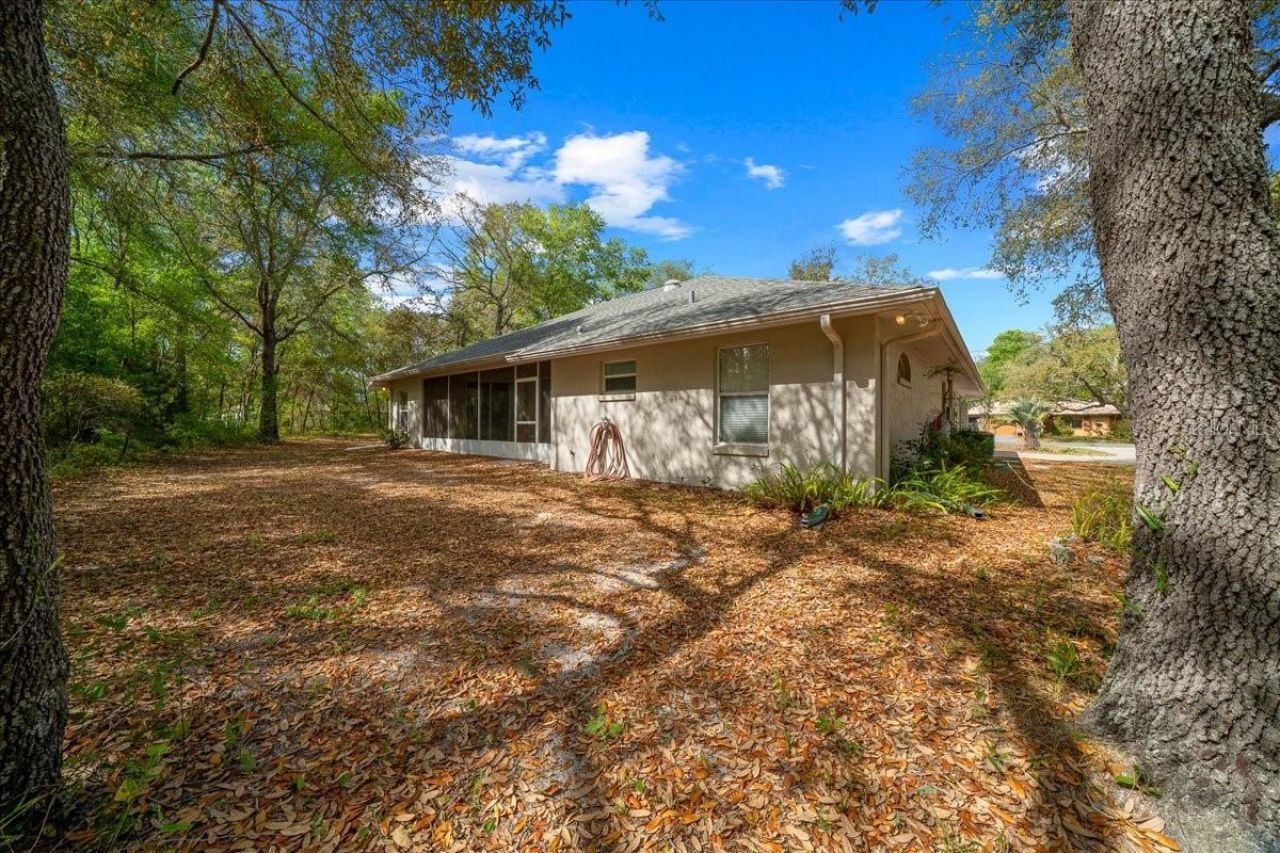 8859 N Amboy Drive, Citrus Springs, FL 34433 Photo