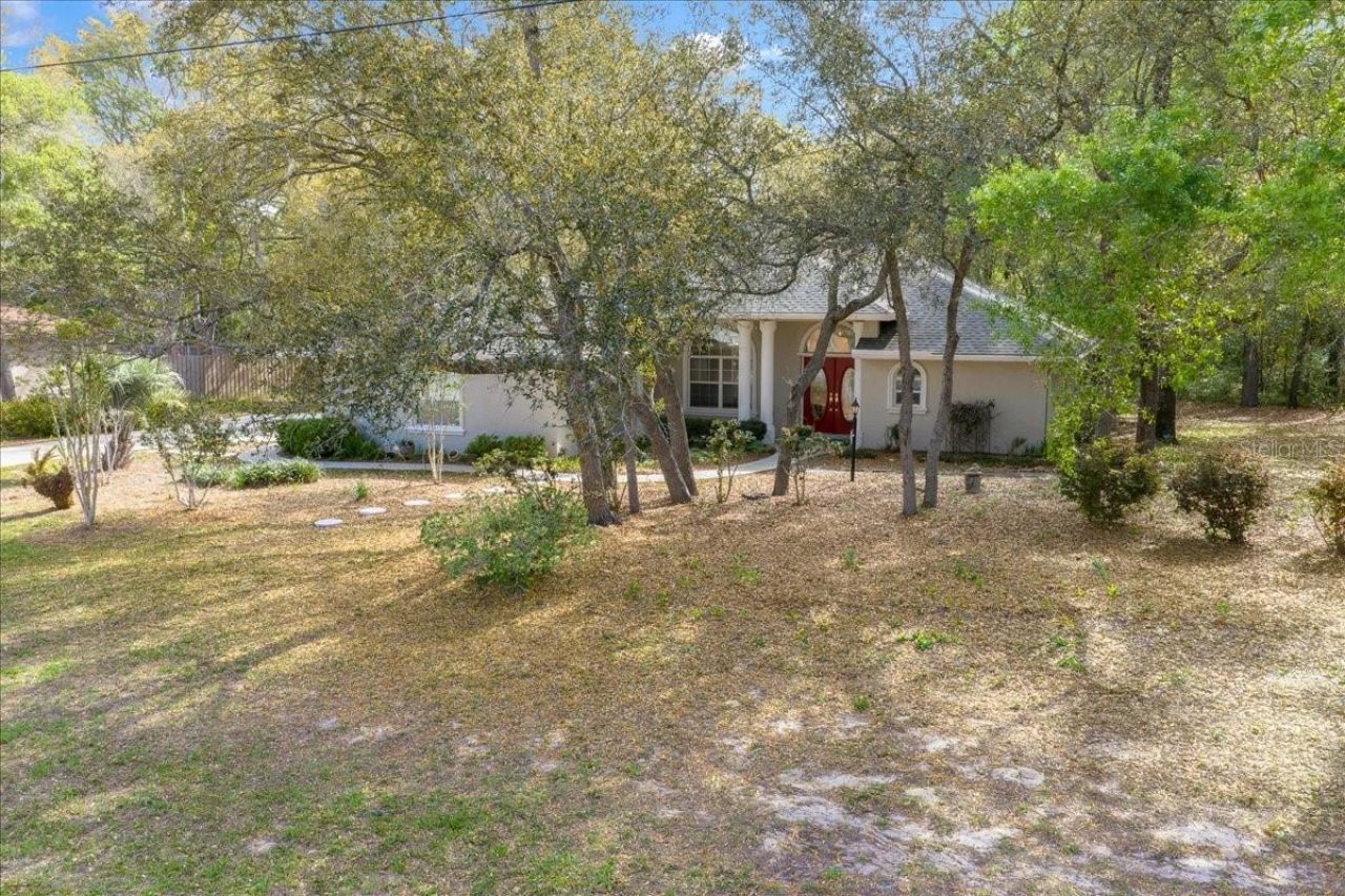 8859 N Amboy Drive, Citrus Springs, FL 34433 Photo