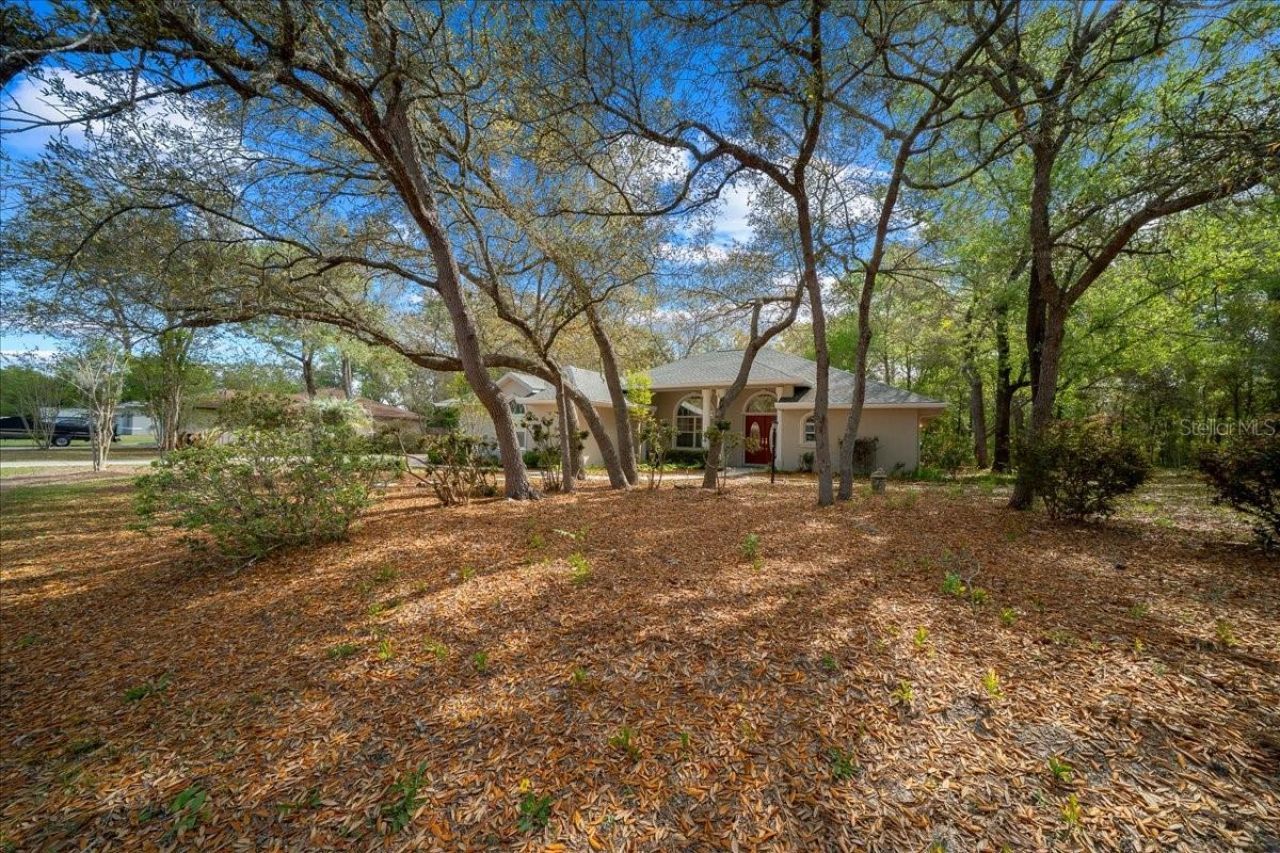 8859 N Amboy Drive, Citrus Springs, FL 34433 Photo
