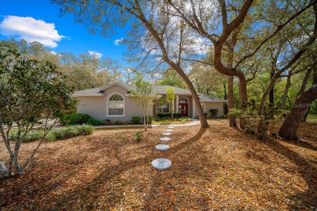 8859 N Amboy Drive, Citrus Springs, FL 34433 Photo