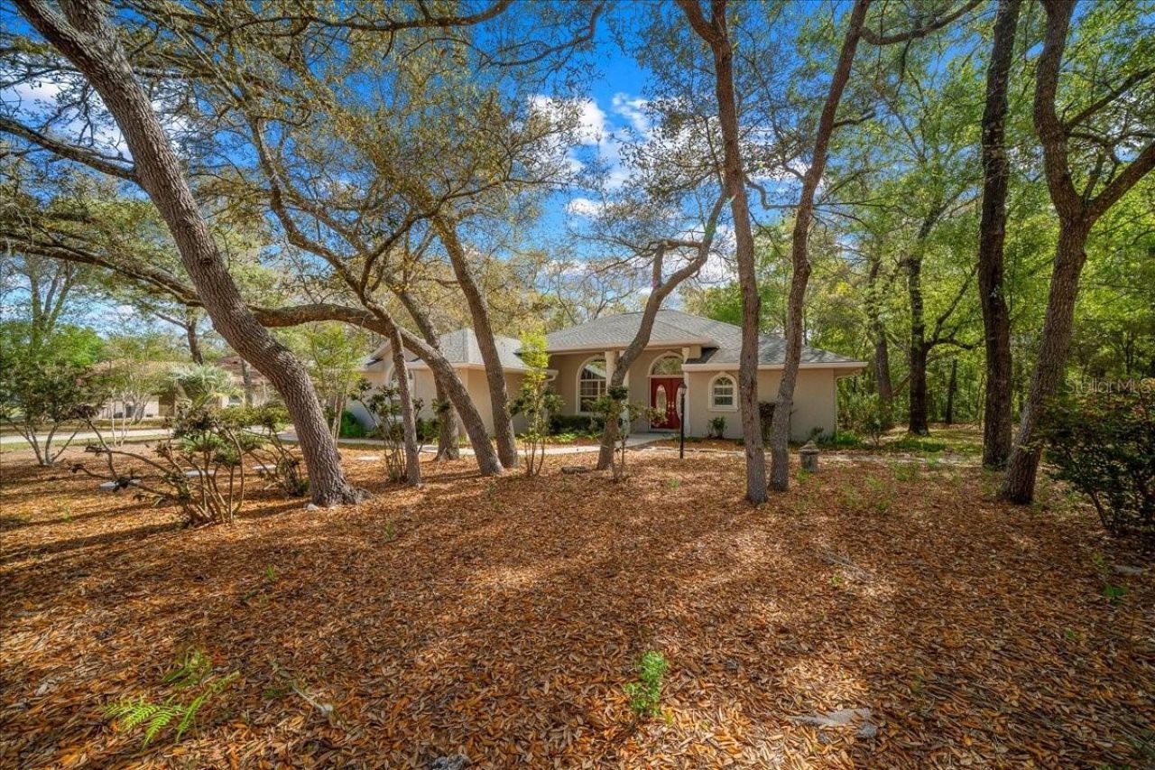 8859 N Amboy Drive, Citrus Springs, FL 34433 Photo