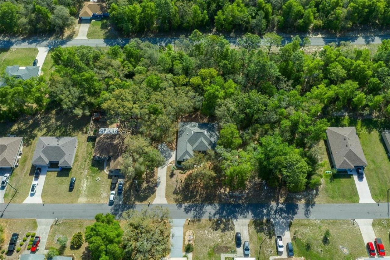 8859 N Amboy Drive, Citrus Springs, FL 34433 Photo