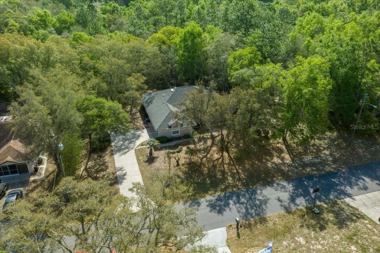 8859 N Amboy Drive, Citrus Springs, FL 34433 Photo