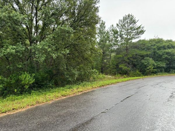 16 FISHER COURT WAY , OCKLAWAHA, FL 32179