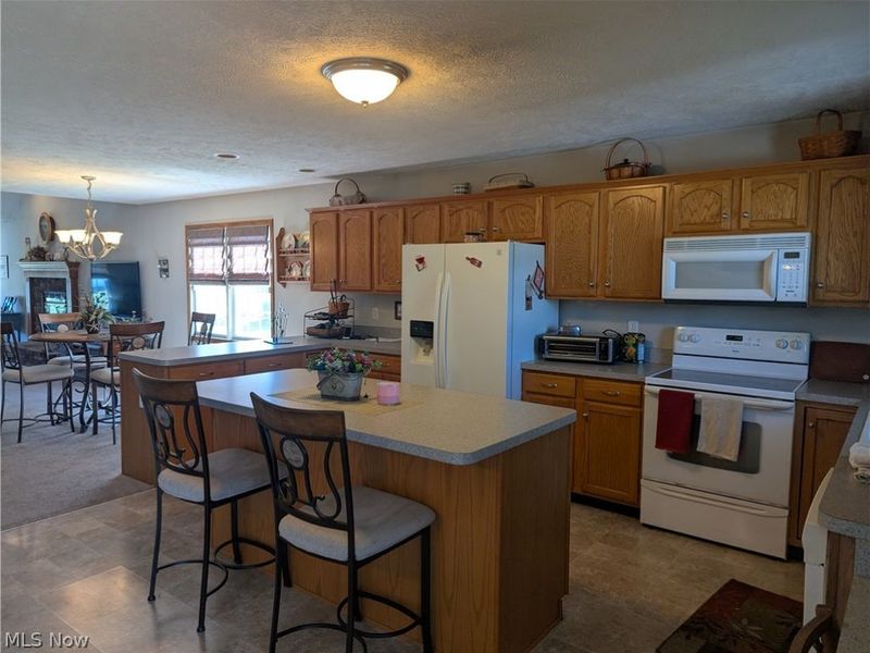 15070 Woodsong Drive, Middlefield, OH 44062 Photo 3