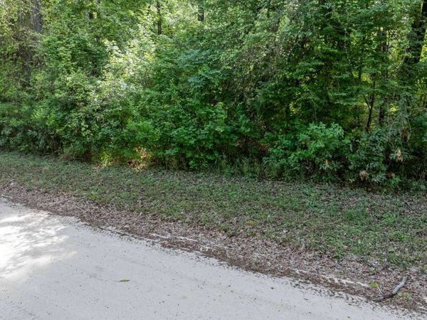 TBD RIVERSIDE AVE, Fort White, FL 32038